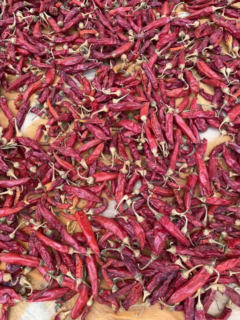 Dried red chillies