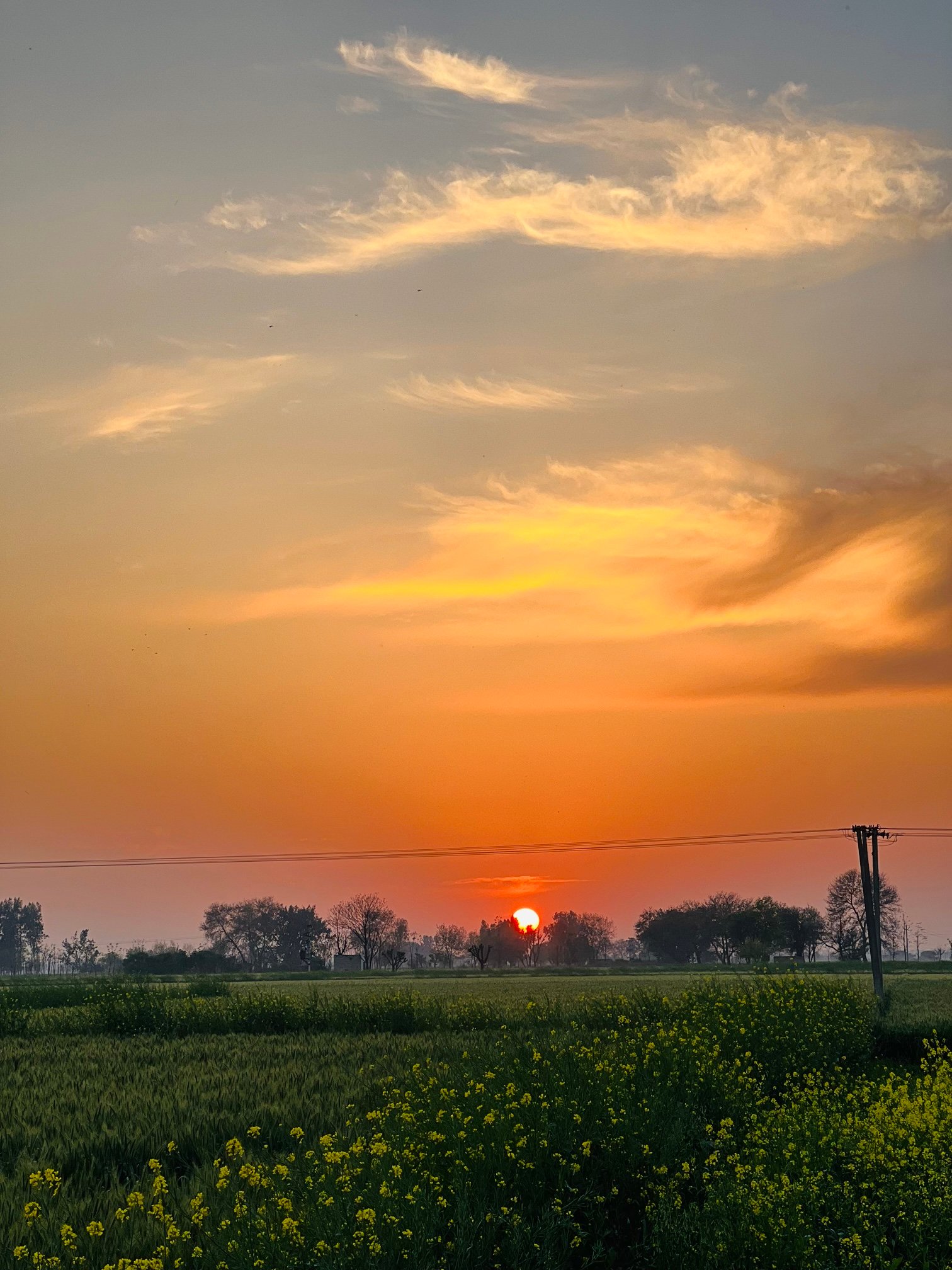 Sunset over the farm fields